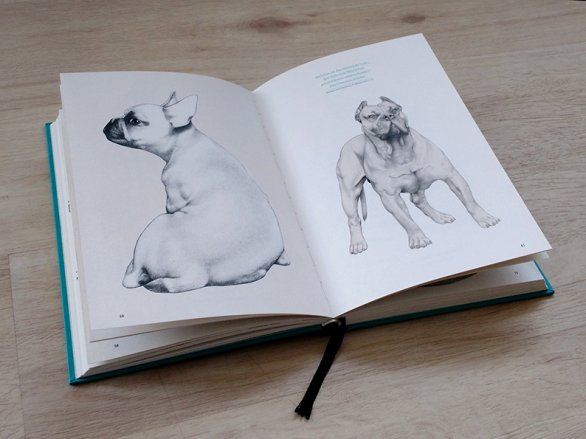 Die Ästhetik des Diversen Die Ästhetik des Diversen