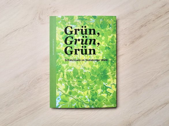 Grün, Grün, Grün (BE12), Cover