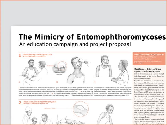 Mimicry of Entomophthoromycoses