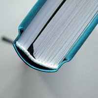 Die Ästhetik des Diversen