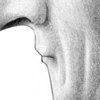 Der Graue