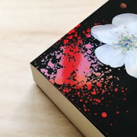 Mi-Ae Seo, Der rote Apfel (Heyne)