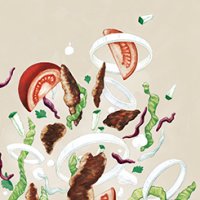 Döner. Eine türkisch-deutsche Kulturgeschichte (März Verlag)