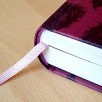Angela Steidele: Anne Lister. Eine erotische Biografie