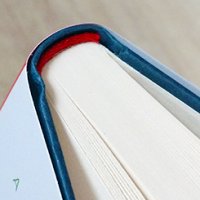 Der standhafte Papagei